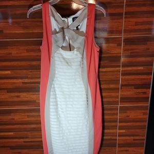 Women Dress Jax